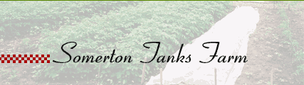 Somerton Tanks Farm